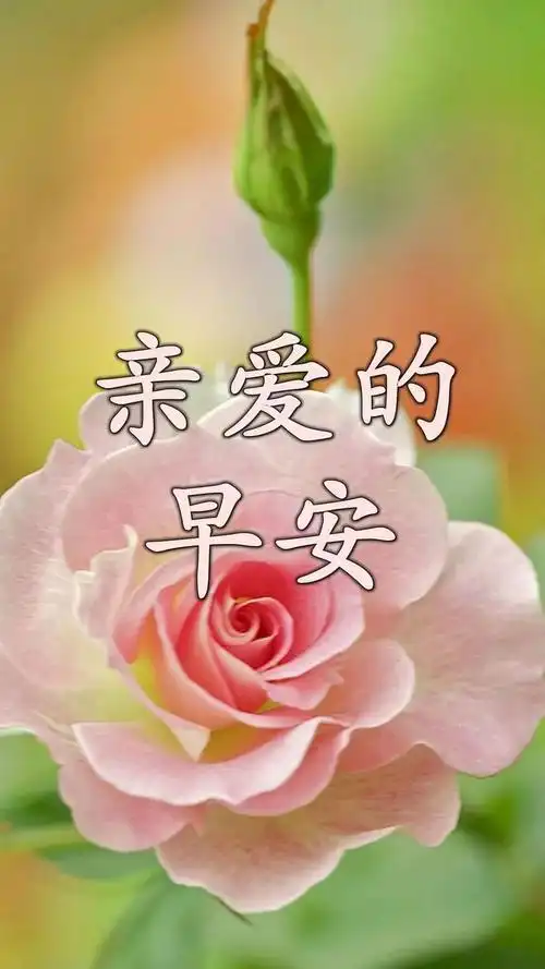 早上好漂亮图片大全夏天早上好动态图片带字