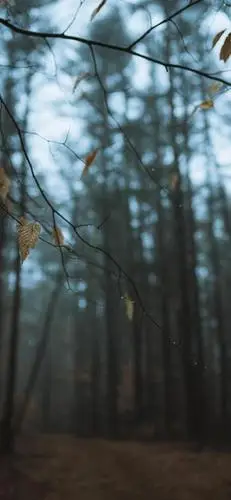 唯美伤感的下雨天壁纸