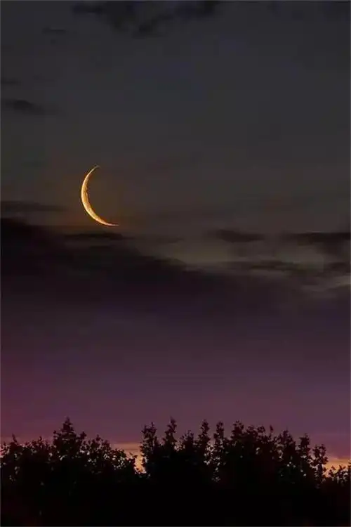 月光下的夜色,月光如水水如天