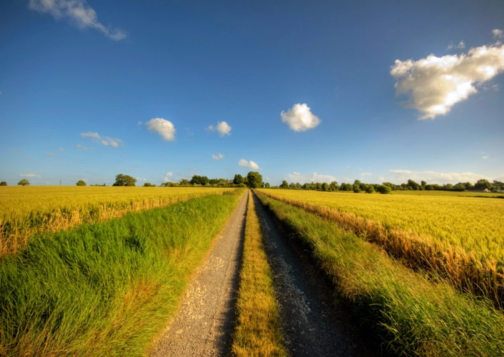 乡村风景道规划——方便生产