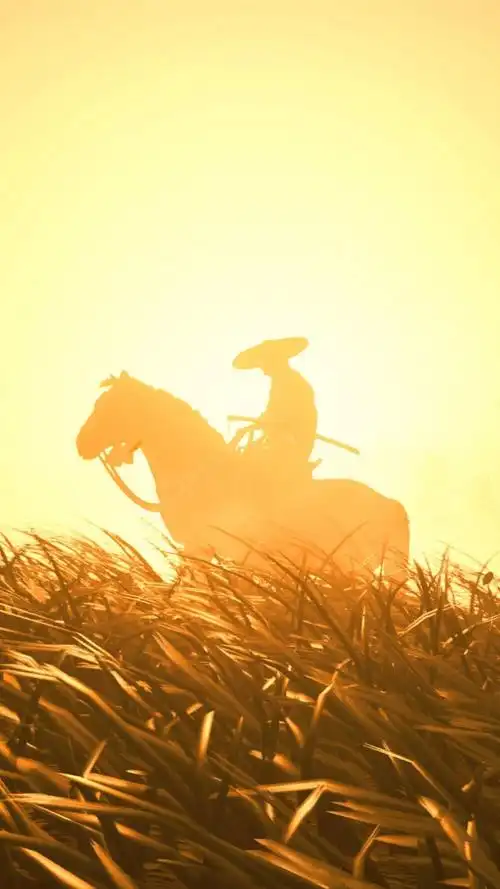 大家有没有一些沧桑的老剑客的古风图片