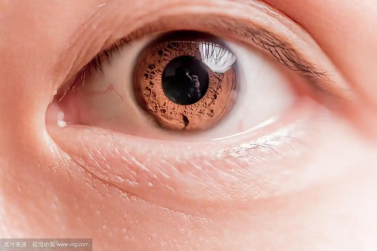 瞳孔的特写