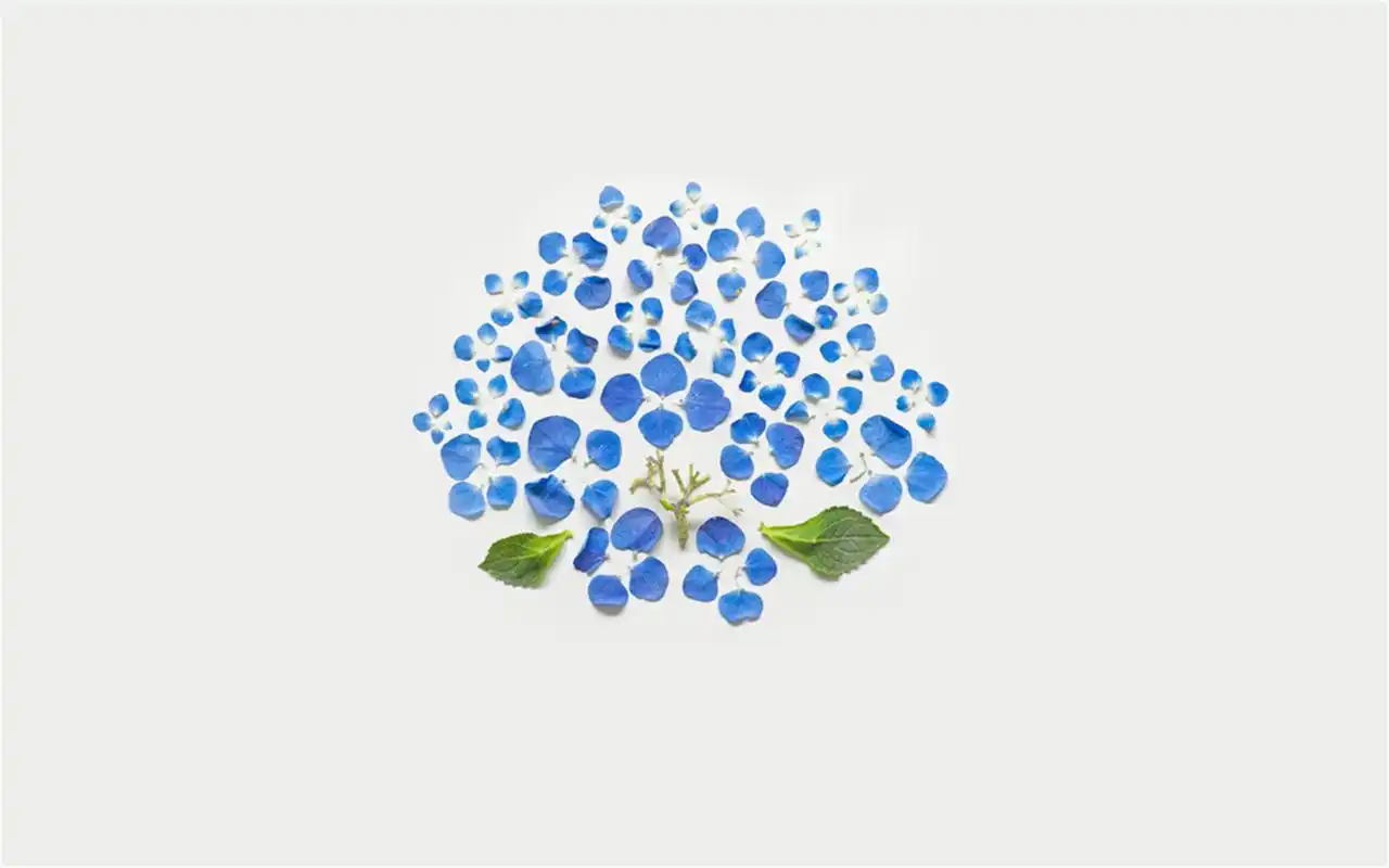 精选文艺范简约手绘卡通可爱素描铅笔画高清桌面壁纸下载