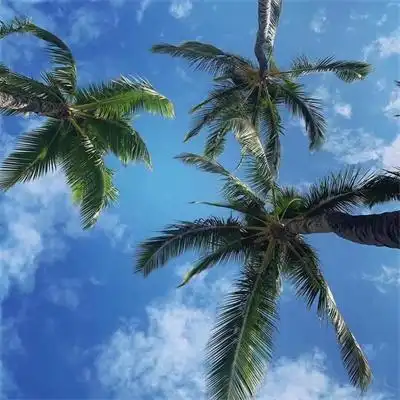 风景头像频道提供更多与好看的图片,大自然风景,景色头像,高清图片