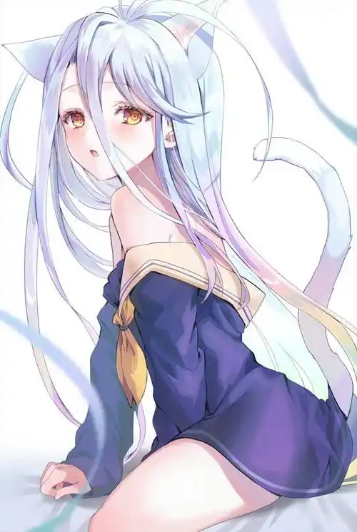 分享一组二次元女生头像 银发美少女特辑p站美图欣赏_白发