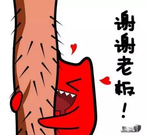 老板,你对我真好!|聊聊车