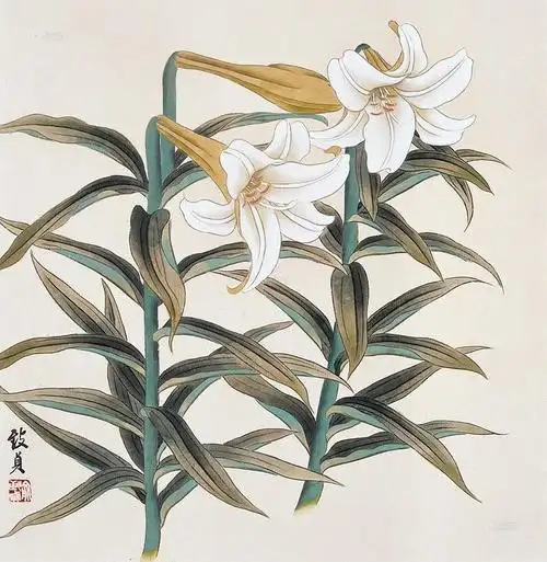 0564百合花 镜心 设色纸本