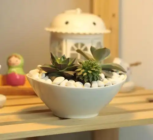 简约白色创意多肉陶瓷桌面小号船型z***a盆栽花盆 工厂直供批发-陶瓷