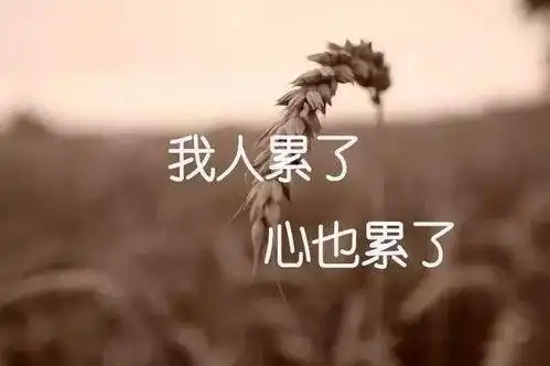心累的句子说说心情,心累的句子,被伤透了心失望的句子,伤感的句子