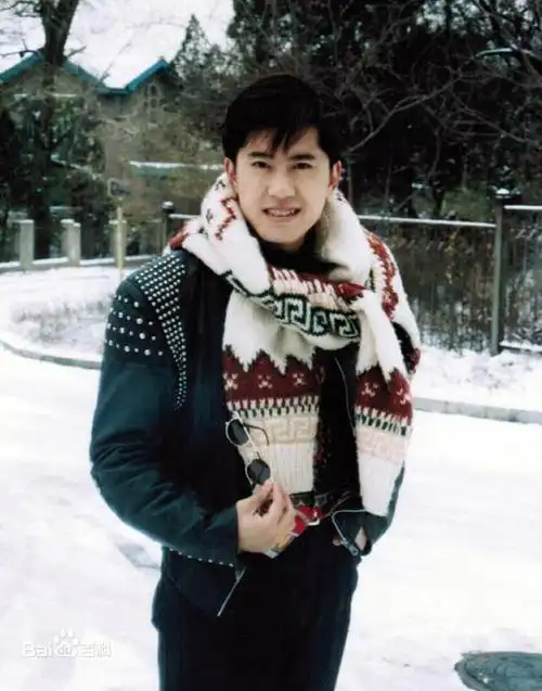 90年代十大帅气男歌星今昔照,毛宁林依轮解晓东蔡国庆伊扬,谁的变化大