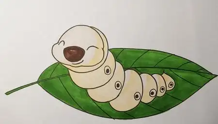 蚕宝宝怎么画 蚕宝宝线描画彩色 中级简笔画教程-第1张