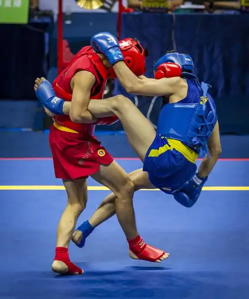 "星盟赛城杯"2019年"上合组织"国际武术散打争霸赛