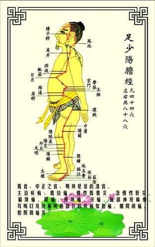 海报印制338人体海报展板2美容养生足少阳胆经 非高清图