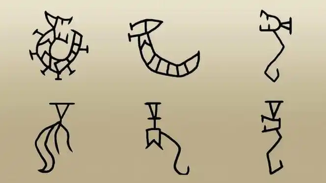 甲骨文中的"龙"有多种写法,是象形字,有头有尾,头像鳄鱼,头角峥嵘