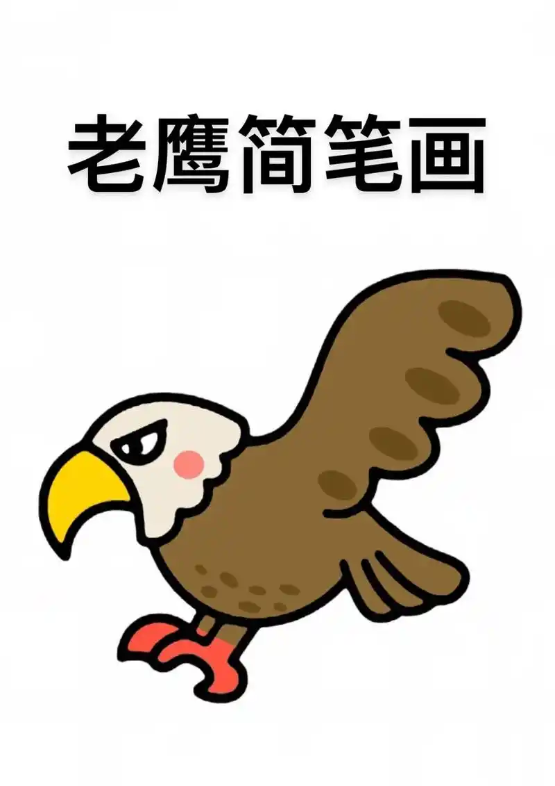 老鹰简笔画来啦,步骤详细,简单易学#儿童简笔画 #简笔画#老 - 抖音