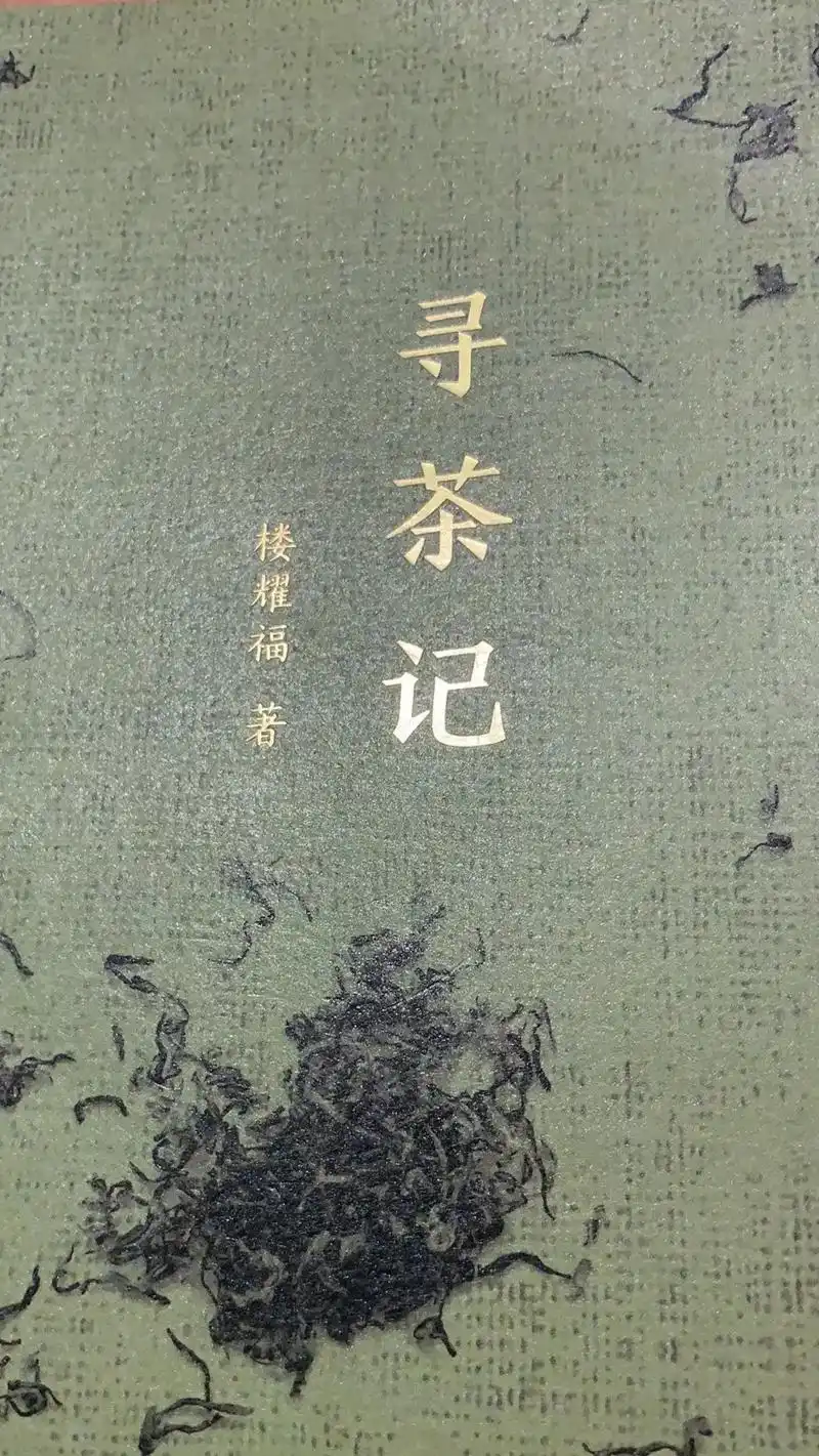 满足好奇心的申时茶.#武夷岩茶 喝这泡茶让我想起罗军老师说的 - 抖音