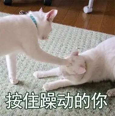 每天我们一起为美味的饭菜忙碌着 享受这美好的时光 - 斗图表情包