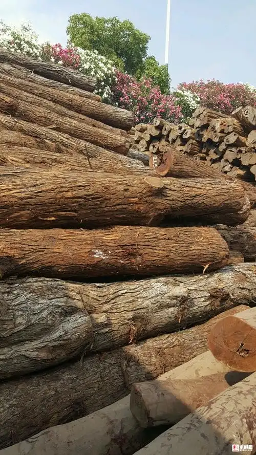 红贵宝 - 批木网