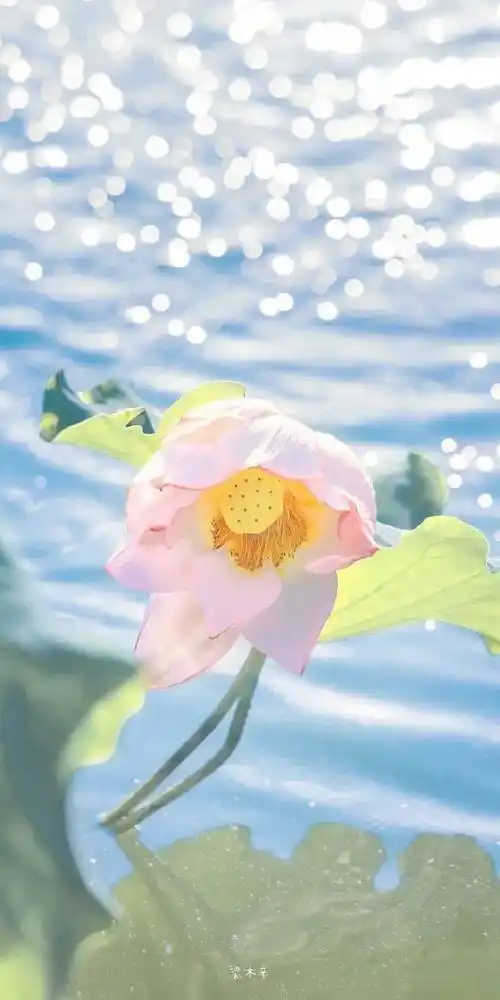 阳光朝气的暖心壁纸图