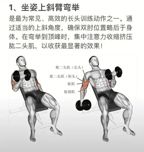 只需一副哑铃的动作丨在寝室也可以练丨