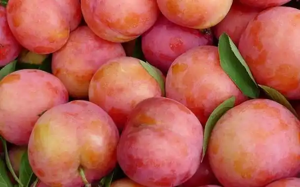 夏天10大水果,夏天吃什么水果降火快(多吃这6种应季水果)