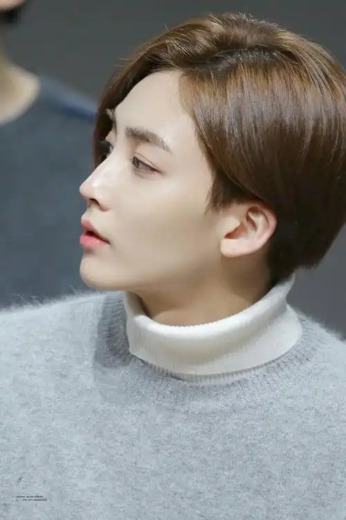 尹净汉,1995年10月4日出生于韩国,韩国男歌手,男子偶像组合seventeen