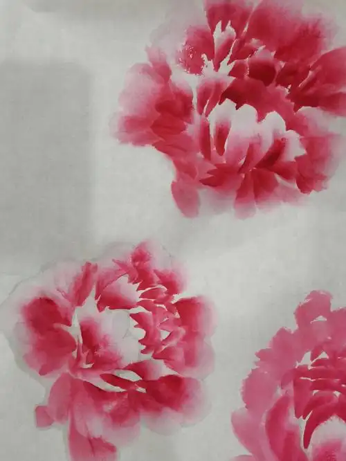 第一次尝试画牡丹,画的不好,希望有一天回头看的时候,会发现自己的