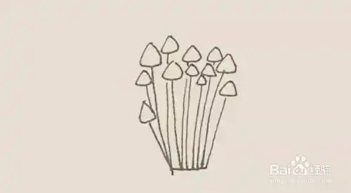 怎么画金针菇
