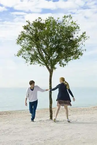 西方人,背部,两个人,握手,竖图,室外,白天,正面,裙子,爱情,海浪,海洋