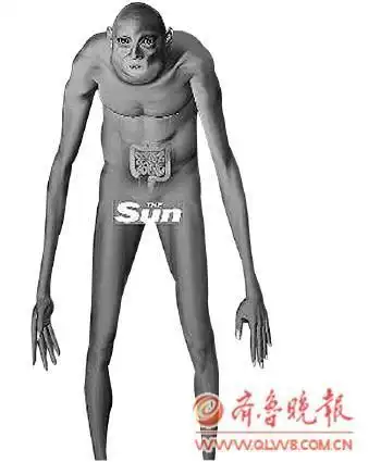 1000年后人类啥样