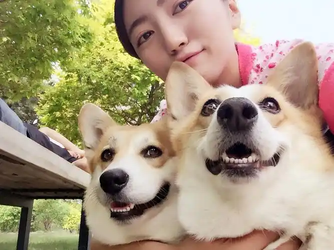 如何优雅地与宠物合照