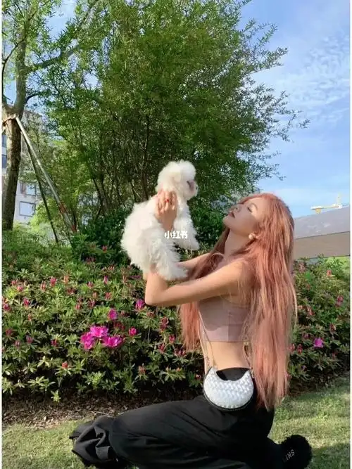 rose 女团发色 朴彩英同款发色分享irose同款玫瑰粉金玫瑰粉金发