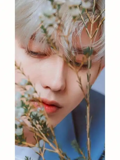 蔡徐坤的高清壁纸