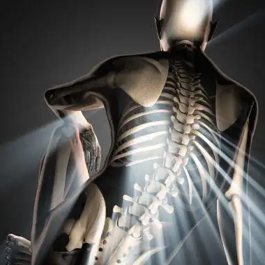 女人身体骨架解剖图像程式化的外观女人身体骨架解剖图像程式化的外观