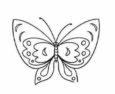 动物简笔画可爱蝴蝶