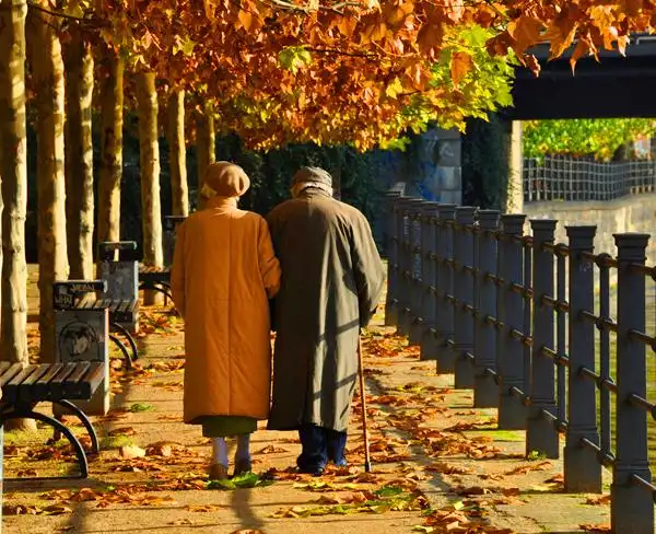 晚年没福气的生肖女