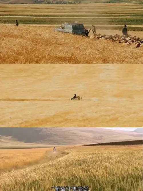 伊朗电影随风而逝