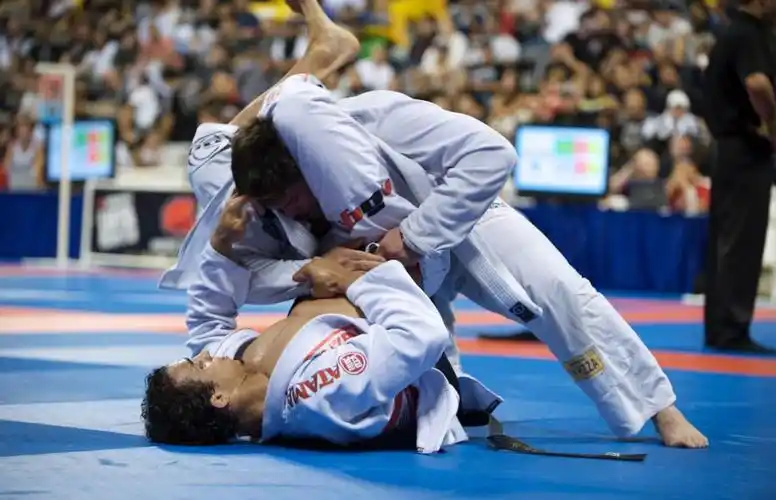 巴西柔术国内的综合格斗(mma)起步很晚.