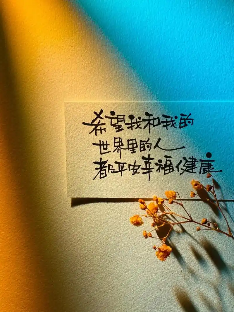 "我希望我和我的世界里的人 都平安,幸福,健康."#图文#除 - 抖音