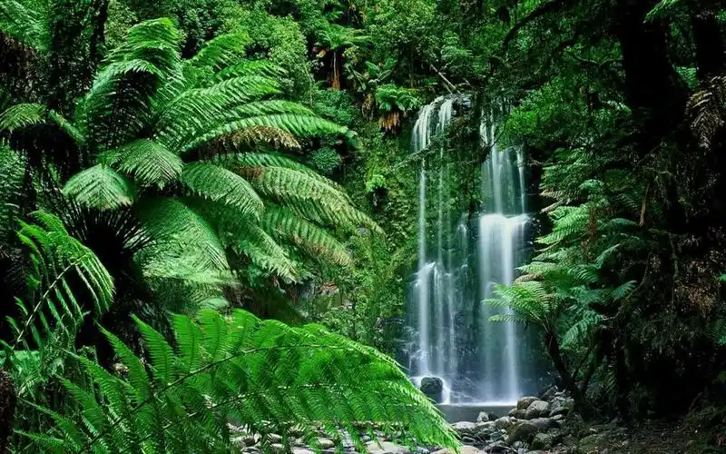 小瀑布壁纸,高清图片 - ipad壁纸