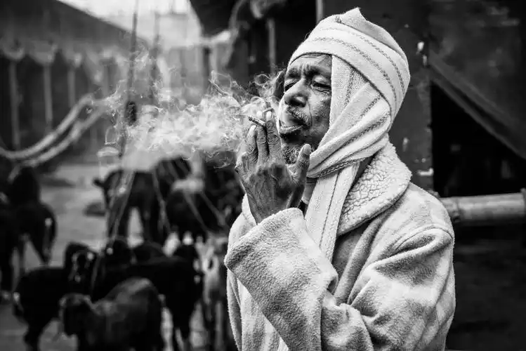 羊市里的吸烟者 - 摄影大赛2019 - 国家地理中文网