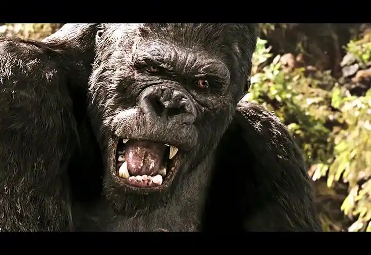 《金刚2005》高清4k第四集 #金刚 #电影解说 #高分电影 #电影推荐