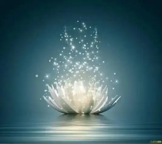 云水禅心亦尽在云水中