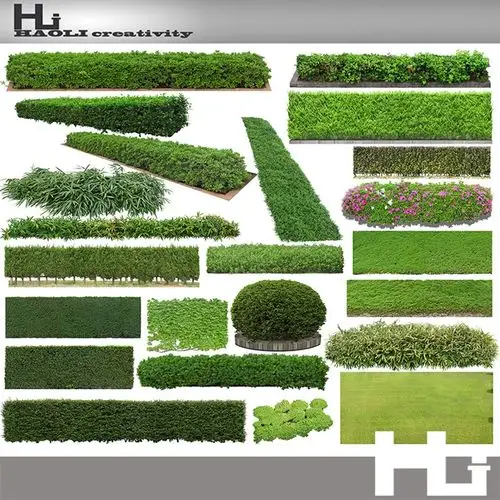 高清乔灌木psd分层