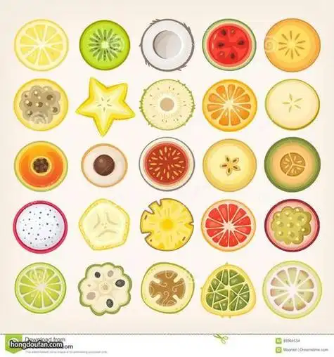 水果蔬菜的切面简笔画