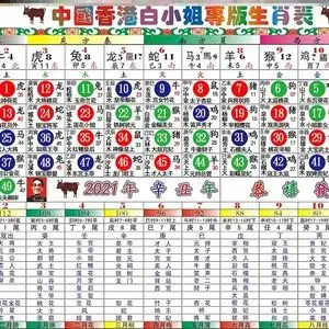 2021年生肖表波色十二生肖卡六合彩对照表排期表香港白小姐12牛年