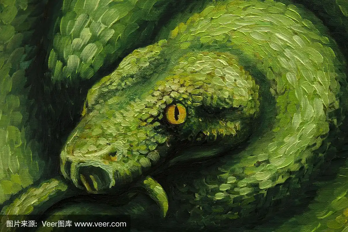 蛇,有毒生物体,手艺,画布,水彩画颜料