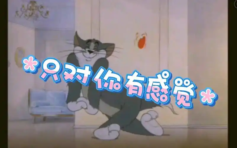 只对你有感觉【猫和老鼠】