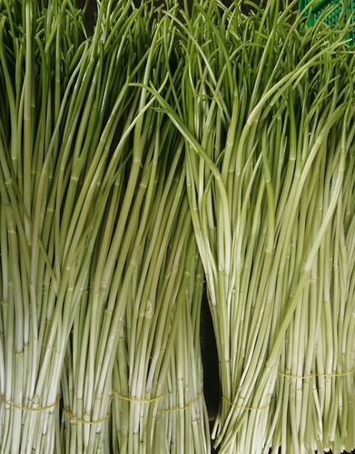 新鲜蔬菜原生态小叶水芹菜无节水芹去叶纯杆农家自种3斤装包邮