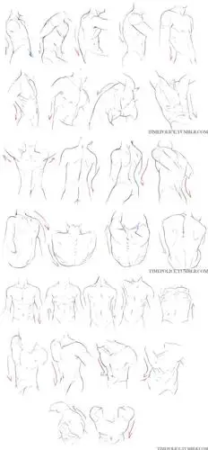 人体肌肉画法教程,很棒的小教程,看完这9个肌肉教程,还怕画不出美国